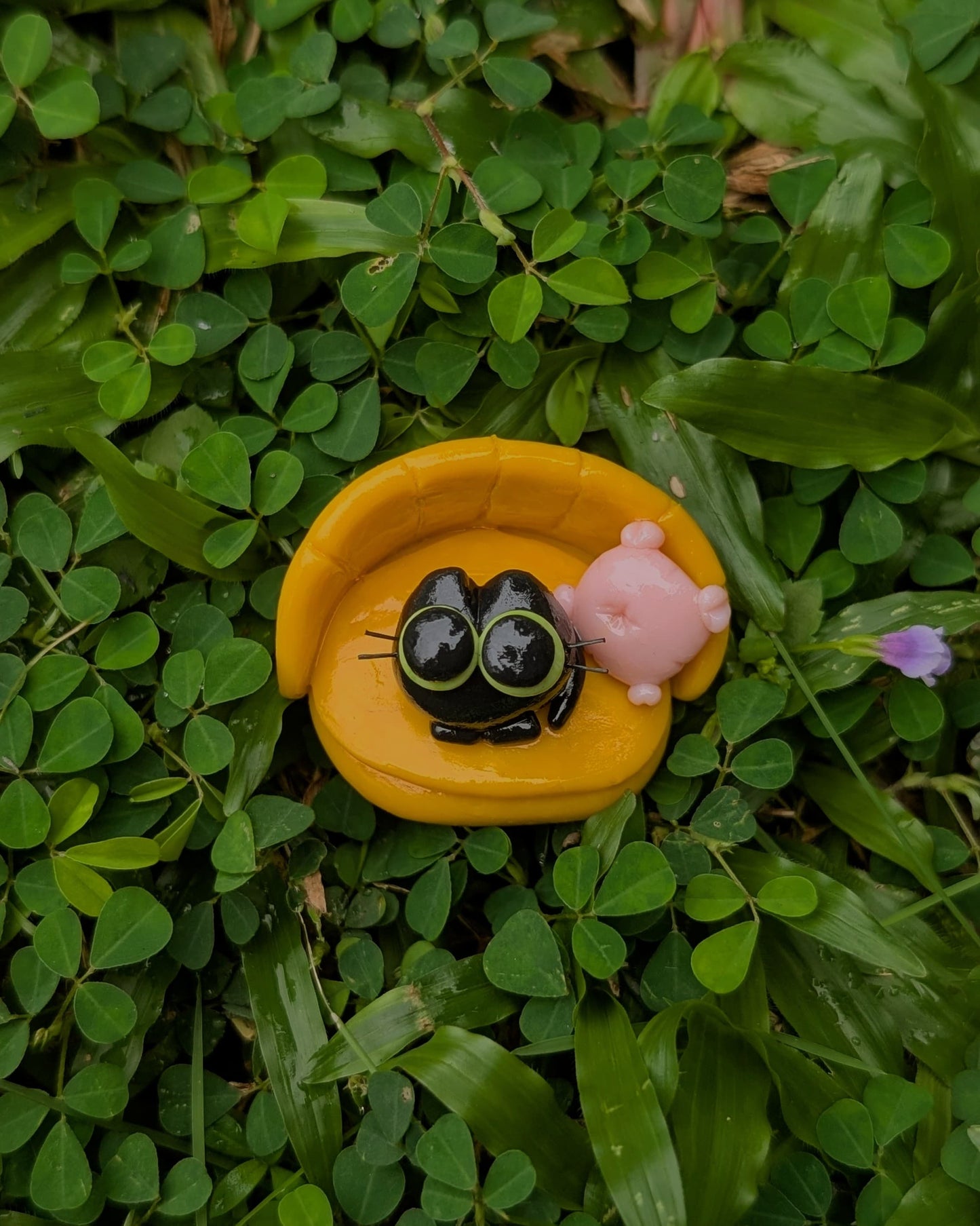 Molecule’s Lazy Spot