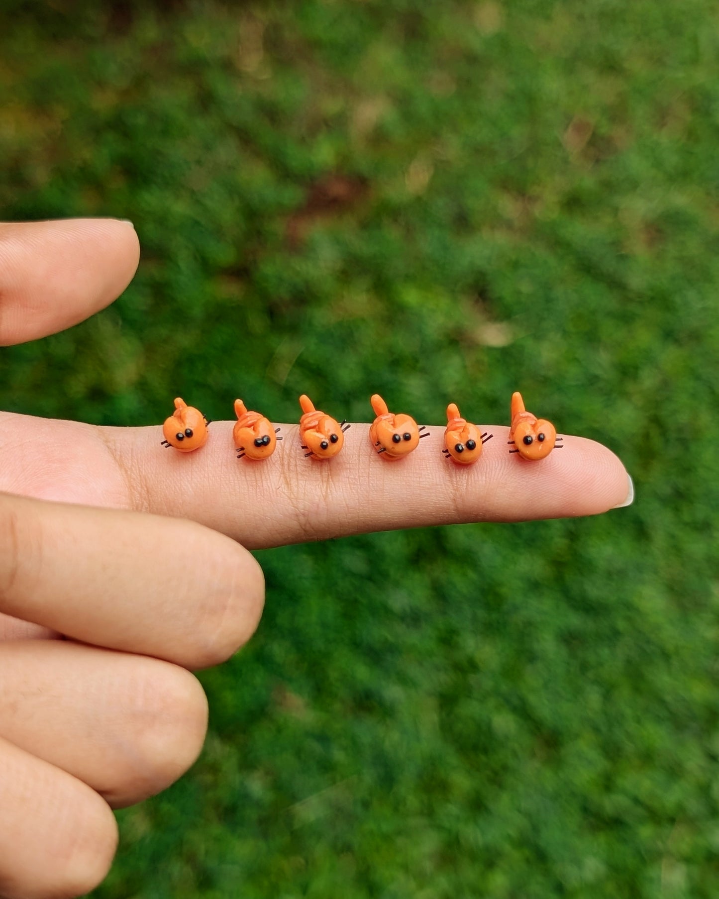 Lord Gingerstripe the Unpredictable, Destroyer of Calm.