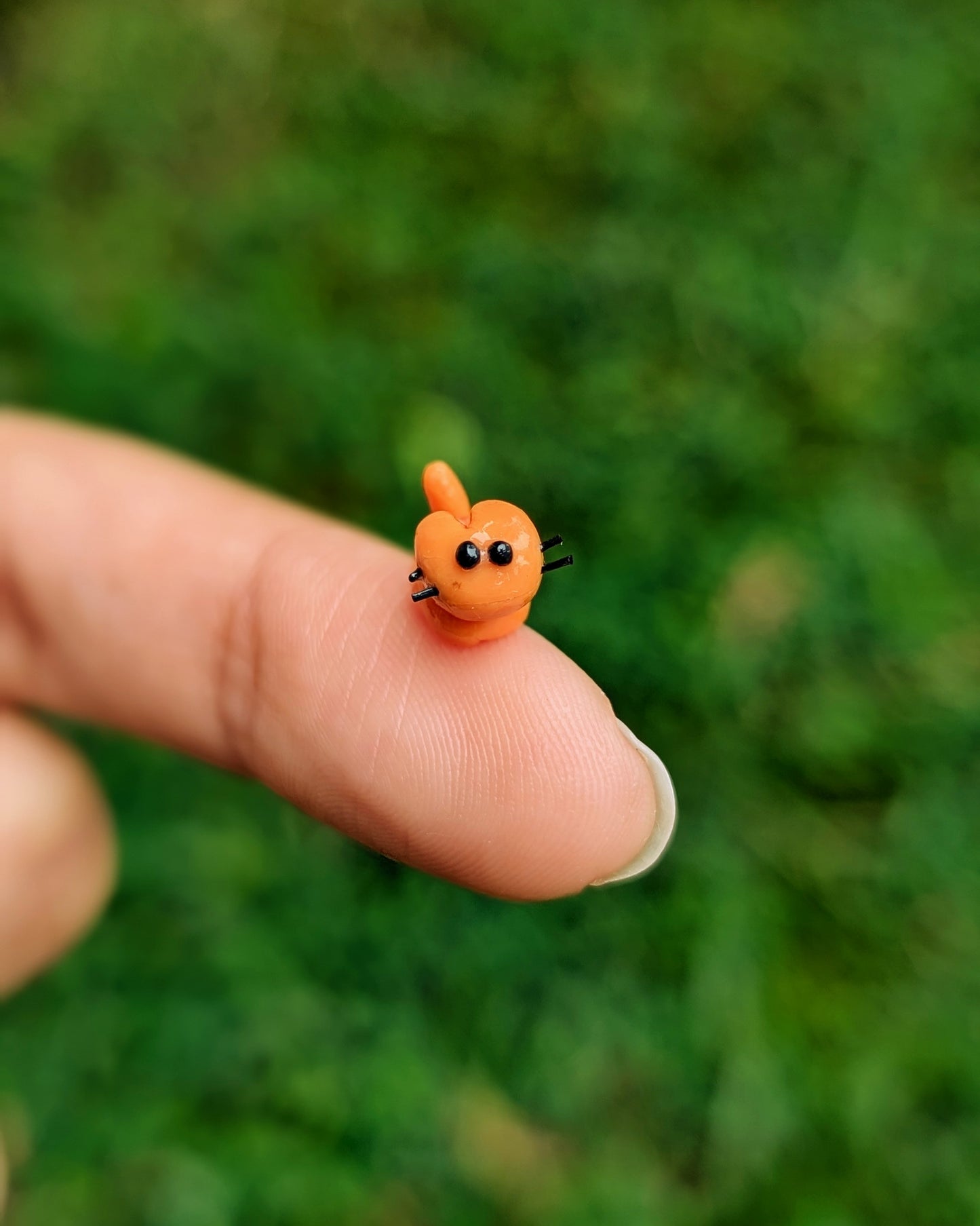 Lord Gingerstripe the Unpredictable, Destroyer of Calm.