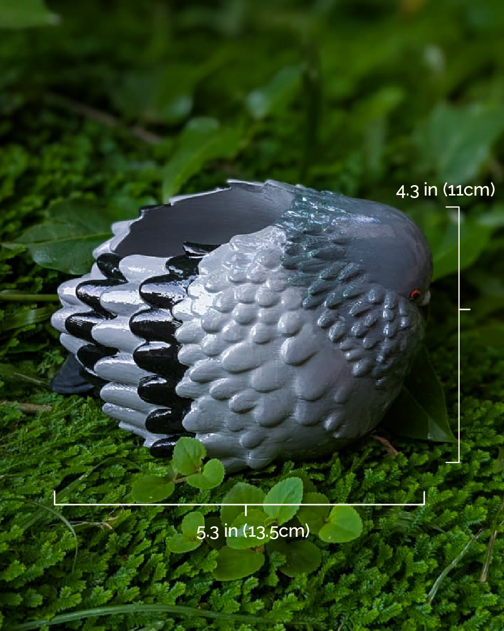 The Tax Collector (Pigeon Pen Holder)