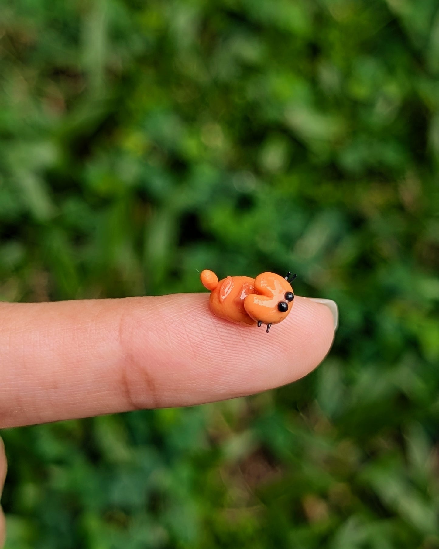 Lord Gingerstripe the Unpredictable, Destroyer of Calm.